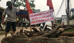 Ảnh minh họa. nguồn Internet.