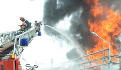 Hình minh họa. Nguồn: Internet