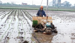 Ruộng đất manh mún hiện được xem như nguyên nhân lớn nhất cản trở sức sản xuất nông nghiệp. Ảnh: UBND Huyện Kiến Xương - Thái Bình