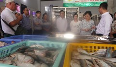 Trưởng Ban Quản lý An toàn thực phẩm TP HCM kiểm tra, khảo sát thủy, hải sản tại tỉnh Bình Thuận