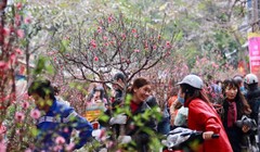 Hình minh họa. Nguồn: ĐSPL