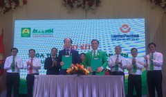Buổi ký kết giữa LienVietPostBank và MaiLinhGroup