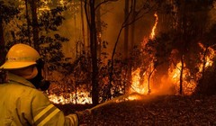 Thảm họa cháy rừng lớn nhất từ trước đến nay tại Úc (Ảnh: NYT)