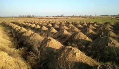 Thành phố tại Ukraina đào hàng trăm ngôi mộ để dọa người dân (Ảnh: OC)
