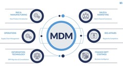 MDM - quản lý dữ liệu chủ (Ảnh: FR)