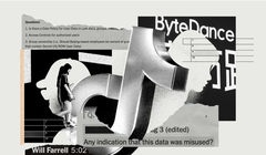 TikTok có thể truy cập hộ chiếu, giấy phép lái xe, thẻ căn cước người dùng (Ảnh: NYT)