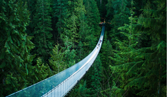 Ảnh minh họa: BrightSide