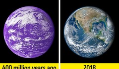 Ảnh minh họa: BrightSide 