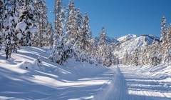 Ảnh: Business Insider