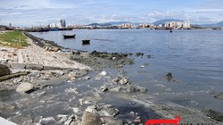 Tình trạng ô nhiễm tại Âu thuyền Thọ Quang đang diễn biến xấu