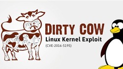 Lỗ hổng "con bò dơ bẩn" đang đe dọa hơn 5000 hệ thống máy chủ tại Việt Nam. - Ảnh: The Hacker News