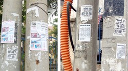 Đà Nẵng kiến nghị “xóa sổ” 554 số điện thoại “rao vặt quảng cáo bẩn“