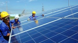 Ngân hàng Thế giới (WB) hỗ trợ Đà Nẵng phát triển năng lượng mặt trời