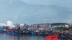 Đà Nẵng tiếp tục ra "tối hậu thư" xử lý môi trường tại Âu thuyền và Cảng cá Thọ Quang
