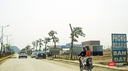 Sự kiện Tuần lễ cấp cao APEC 2017 đã có tác động tích cực, góp phần củng có niềm tin vào sự phát triển của thị trường BĐS Đà Nẵng khi giá đất nền đã tăng từ 10-30% và kỳ vọng tăng trưởng tiếp trong năm 2018.