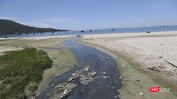 Nước thải ô nhiễm, hôi thối đầu độc biển Đà nẵng