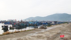 Thủ tướng Chính phủ vừa đồng ý dừng thực hiện Dự án đầu tư xây dựng tuyến luồng vào Khu bến cảng Thọ Quang, Cảng biển Đà Nẵng.