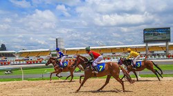 Đà Nẵng đang tìm vị trí để xúc tiến đầu tư Dự án Trường đua ngựa trị giá 200 triệu USD (ảnh http://sporttotovietnam.com)