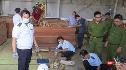 Cơ quan chức năng kiểm đếm lô hàng ngà voi nhậu lậu tại cảng Đà Nẵng