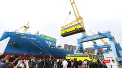 Thaco xuất lô hàng xe bus đi nước ngoài tại Cảng Chu Lai (Quảng Nam)