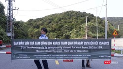 Bán đào Sơn Trà dừng phục vụ khách tham quan kể từ 28/3 (ảnh Minh Hải)