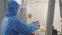 Xét nghiệm bệnh phẩm tại CDC Quảng Nam (ảnh DL)