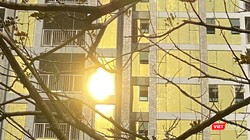 Mặc dù có cây xanh, nhưng vẫn không ngăn được ánh sáng phản chiếu cường độ cao từ công trình Risemount Apartment Đà Nẵng đến dân cư xung quanh