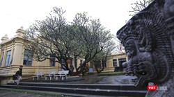 Bảo tàng điêu khắc Chăm (Đà Nẵng)