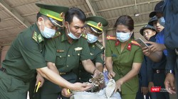 Lực lượng chức năng Đà Nẵng đang kiểm tra lô hàng thảo dược núp bóng rau củ nhập cảnh