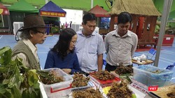 Một góc phiên Chợ sâm Ngọc Linh ở Quảng Nam