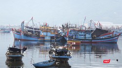 Tàu thuyền neo đậu tại âu thuyền Thọ Quang (Đà Nẵng)