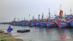 Tàu thuyền về neo đậu tại âu thuyền Thọ Quang (Đà Nẵng) để tránh bão số 5