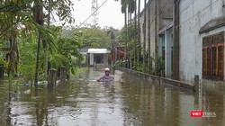 Các tình thành ở khu vực miền Trung bị ngập lụt nặng nề do ảnh hưởng của bão, lũ trong suốt tháng qua