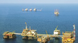 Mỏ Bạch Hổ (Ảnh minh họa)