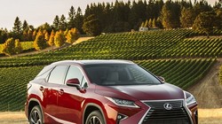 Xe ôtô Lexus RX350. (Nguồn: lexus.com.vn)