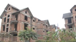 Ảnh minh họa, nguồn internet