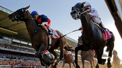 Ảnh minh họa, nguồn internet