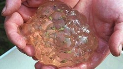 Một số bí ẩn mà khoa học chưa thể lý giải.