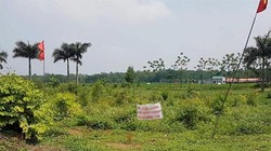 Đã làm rõ quá trình quản lý, sử dụng đất đai ở Đồng Tâm, Mỹ Đức.