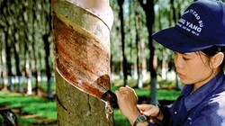 Ảnh minh họa, nguồn: TTXVN.