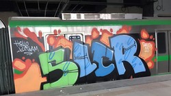 Các toa của đoàn tàu Cát Linh - Hà Đông bị vẽ sơn chằng chịt - Ảnh: Zing.