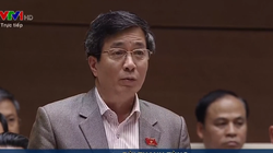 Ông Bùi Thanh Tùng - Phó trưởng đoàn đại biểu Quốc hội TP Hải Phòng.