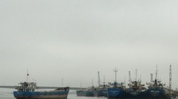 Ảnh minh họa/ Nguồn TTXVN.