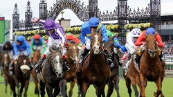 Bổ sung Trường đua ngựa vào quy hoạch tổng thể của Hà Nội