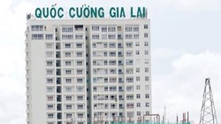 Quốc Cường Gia Lai chậm công bố 14 giao dịch với tổng số tiền lên đến hàng nghìn tỷ đồng.