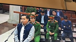 Vũ khai để xin đất thường dùng cụm từ "dùng cho hoạt động nghiệp vụ". Ảnh: dantri.com.vn