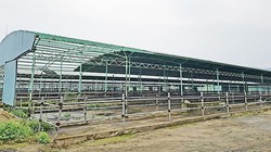 Một góc trại chăn nuôi bò của dự án chăn nuôi bò giống và bò thịt tại Hà Tĩnh do Công ty CP chăn nuôi Bình Hà thực hiện ở địa bàn huyện Kỳ Anh, tỉnh Hà Tĩnh bị bỏ hoang/ Ảnh: sggp.org.vn