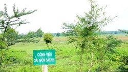 Công viên Sài Gòn Safari "treo" 15 năm. Ảnh: TP HCM