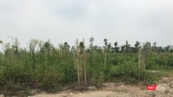 Tình trạng phân lô, bán nền trái quy định ảnh hưởng đến thị trường bất động sản/ Ảnh minh họa.