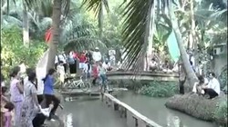 Trò chơi đạp xe đi qua cầu khỉ